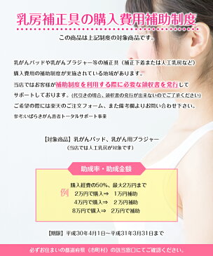 人工乳房 左右で400g Aカップ ストラップ付 シリコン製バスト 高級人工乳房 シリコンおっぱい シリコンバスト 女装 乳がん 人口乳房 mst400
