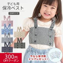 保冷ベスト 保冷 ベスト