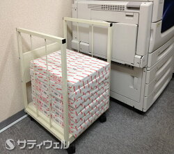 【送料無料】テラモトダンボールストッカーDS-250-100-0【HLS_DU】