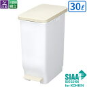 テラモト セパ スリムペダル 30型 30L DS-240-630-0