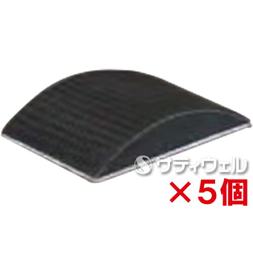 【送料無料】日本ケミカル工業 バスブライト・プロ 曲面パッド 5個セット