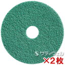 【送料無料】シーバイエス(ディバーシー) TASKIツイスターパッド グリーンパッド 17インチ(432mm) 2枚セット