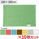 【全色対応G3】テラモト FX制菌クロス(TioTio) 200×300mm 10枚セット