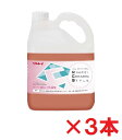 【送料無料】リンレイ セラミック用強力アルカリ洗剤 4L 3本セット