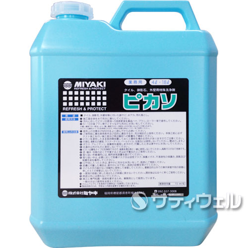 【送料無料】ミヤキ　ピカソ 4L