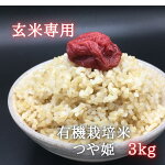 令和3年新米つや姫山形県農家直送有機米有機栽培玄米3kgマクロビオティクオーガニック高級米お米米美味しい