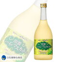 ڥݥ5 04/24 20:00-04/27 09:59 ̼¼ 纬ޥåȤΤ б㥤ޥå 720ml