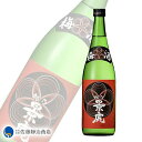 【ポイント5倍 05/09 20:00〜05/16 01:59】【数量限定】越乃景虎 梅酒 720ml