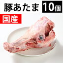 国産 【豚あたま】豚 あたま 骨 10個 ラーメンスープ最適 だしが出る 美味しい おいしい