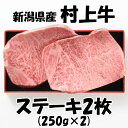 新潟県産 【村上牛 ステーキ2枚】 送料無料 格付等級A-4・B-4以上 牛肉 牛 ステーキ 新潟 村上 美味しい 贈り物にオススメ 特別な日にオススメ 父の日 母の日 お祝いにオススメ 化粧箱入