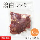 国産 【鶏白レバー】 300g×20p 合計6kg 鶏肉 鶏 白レバー 業務用 お取り寄せ 冷凍 美味しい おいしい