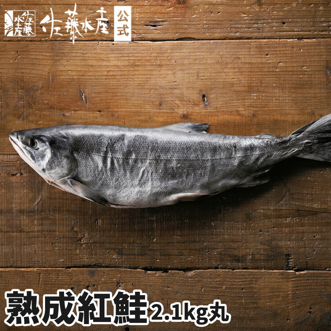 熟成紅鮭 2.1kg(丸)