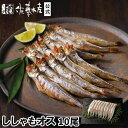 北海道産ししゃもオス 10尾袋入