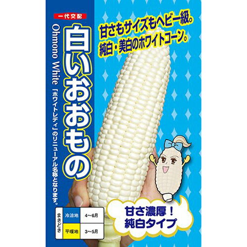 【 白いおおもの 】 トウモロコシ とうもろこし 白いトウモロコシ 種 トウモロコシの種 ホワイト ナント種苗