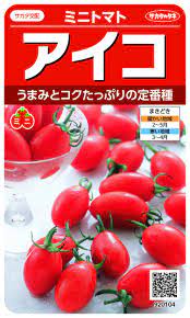 アイコ ミニトマト ミニトマトの種 トマトの種 ペレット種子