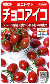 チョコアイコ ミニトマト 13粒 ミニトマトの種 サカタのタネ