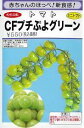 CFプチぷよグリーン ミニトマト 渡辺採種場 ミニトマトの種 グリーン