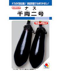 千両二号 中長ナス 茄子の種 ナスの種 タキイ種苗のサムネイル