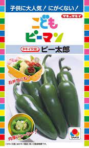 Summer Vegetables - ピー太郎 こどもピーマン ピーマンの種 タキイ種苗 27粒 ファイトリッチ