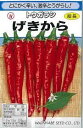 げきから トウガラシ とうがらし とうがらしの種 渡辺採種場