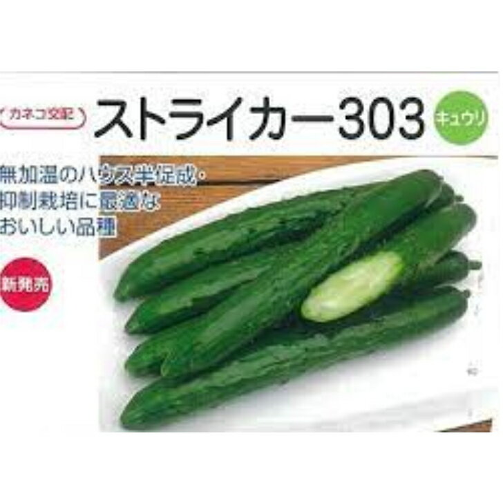 ȤΥ͡ŷԾŹ㤨֥ȥ饤303 奦 奦μ 夦 ͥġפβǤʤ420ߤˤʤޤ