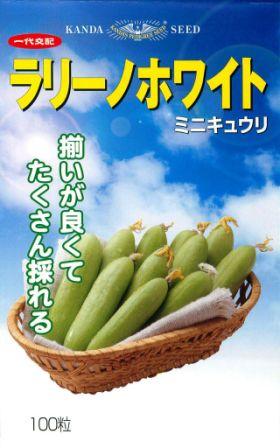 乐天商城 - ラリーノホワイト ミニキュウリ キュウリ キュウリの種 神田育種 小袋約10粒