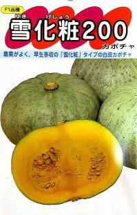 雪化粧200 白カボチャ カボチャ カボチャの種 南瓜 南瓜の種 かぼちゃ かぼちゃの種 サカタのタネ