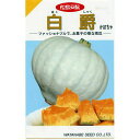 白爵 白カボチャ カボチャ カボチャの種 南瓜 南瓜の種 かぼちゃ かぼちゃの種 渡辺採種場