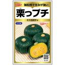栗っプチ(旧商品名:栗坊) ミニカボチャ ミニカボチャの種 南瓜の種 かぼちゃの種 サカタのタネ