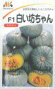 白い坊ちゃん ミニカボチャ 白カボチャ カボチャの種 南瓜の種 かぼちゃの種 ヴィルモランみかど 約8粒
