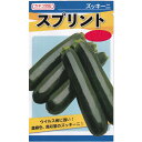 【スプリント】 ズッキーニ ズッキーニの種 カネコ種苗