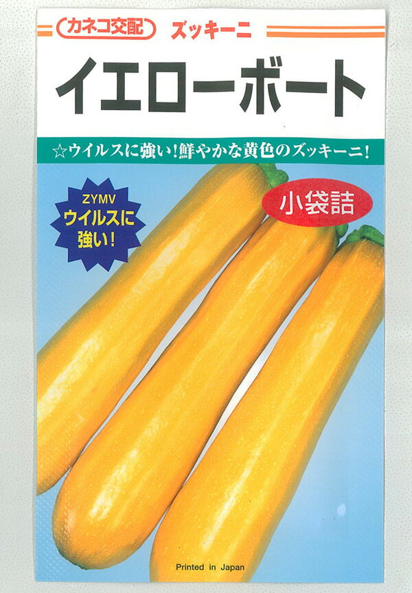 【イエローボート】 ズッキーニ ズッキーニの種 カネコ種苗