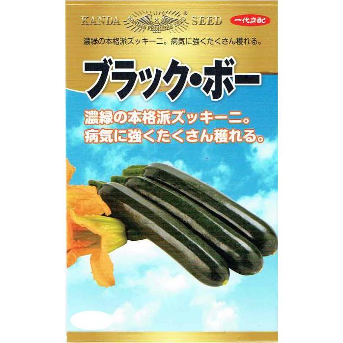 【ブラック・ボー】 ブラックボー ズッキーニ ズッキーニの種 神田育種
