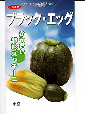 【ブラックエッグ】 ズッキーニ 卵型ズッキーニ ズッキーニの種 神田育種