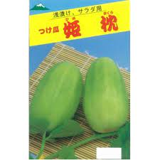 【姫枕】 つけ瓜 つけ瓜の種 浅漬け専用 地方在来品種