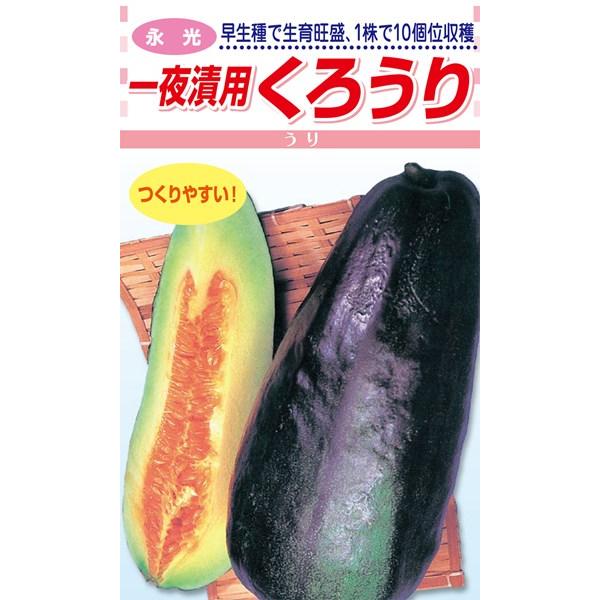 【くろうり】 一夜漬け用 くろうり