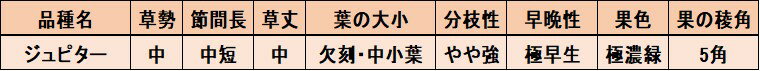 【ジュピター】 オクラ 五角オクラ 種 武蔵野種苗園 オクラの種