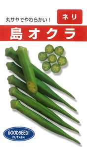 【 島オクラ 】 オクラ 種 オクラの種 フタバ種苗