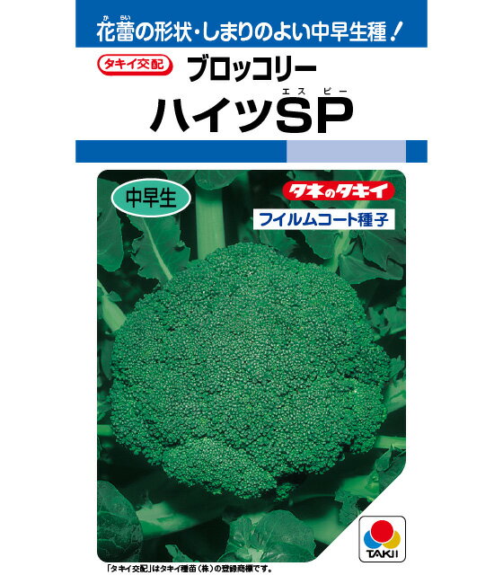 种子（蔬菜） - 【 ハイツSP 】 ブロッコリー 種 ブロッコリーの種 タキイ種苗