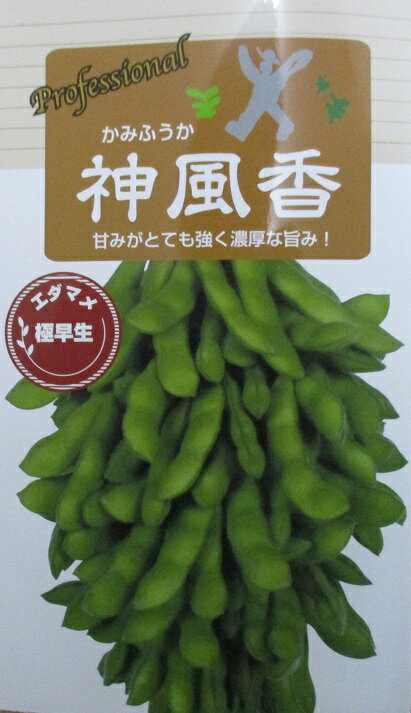 商品情報品種の特性小葉で草勢がおとなしく、主茎が短いためコンパクトにまとまる。大莢で3粒莢・4粒莢の割合が高い。茶豆の風味・甘味あり食味は良好。栽培のポイントハウス、トンネル栽培では、生育初期から水分・保湿管理に留意する草勢がおとなしいため...