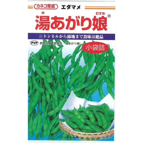 【 湯あがり娘 】 枝豆 種 枝豆の種 エダマメ カネコ種苗のサムネイル