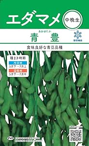  枝豆 種 枝豆の種 エダマメ 約110日タイプ 雪印種苗