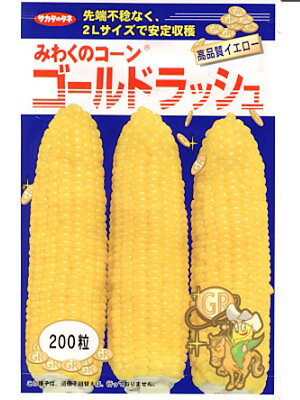 【 ゴールドラッシュ 】 トウモロコシ 種 トウモロコシの種 とうもろこし サカタのタネ