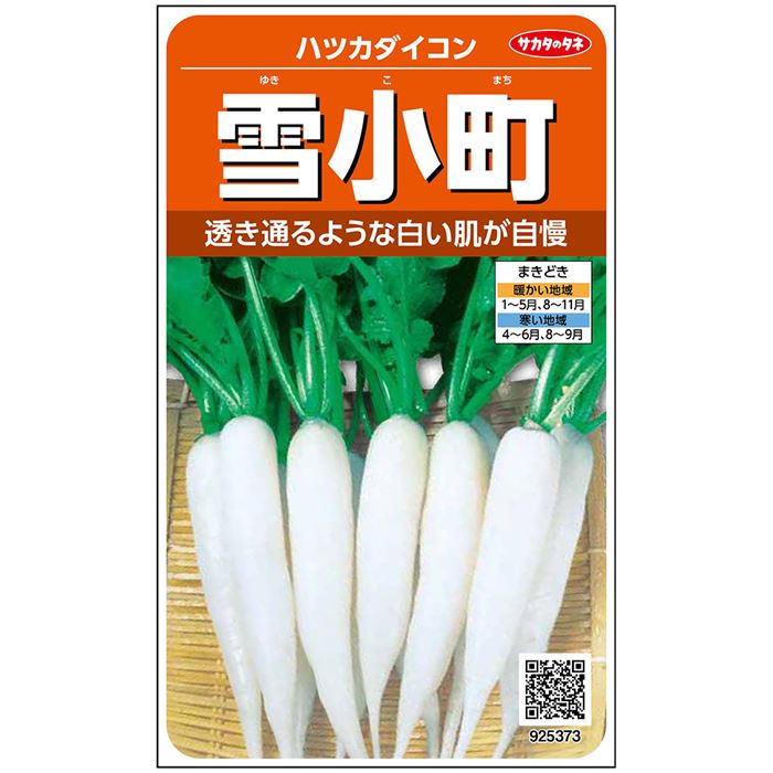 【 雪小町 】 はつか大根 種 二十日大根 ハツカダイコン サカタのタネ 約9ml