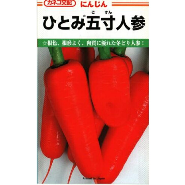 【 ひとみ五寸 】 人参 種 ニンジン にんじん カネコ種苗 キダネ コート種子