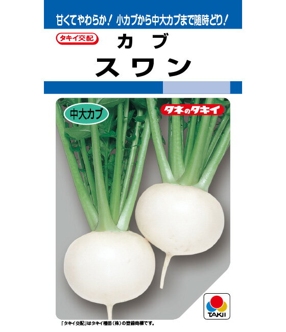 【 スワン 】 カブ 種 蕪 かぶ 種子 タキイ種苗のサムネイル