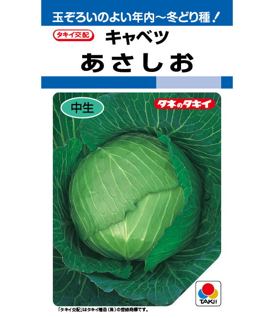 乐天商城 - 【 あさしお 】 キャベツ 種 キャベツの種 タキイ種苗