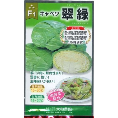 商品情報品種の特性●温害に強く、水田転作畑や大雨で土壌が適温した場合でも生育が安定し高収量が見込める。●直根と側根がバランス良く生え、また結球する位置が低いため黒ボク土などやわらかい畑でも倒伏しにくい。●倒伏による腐敗が少なく収量増加が見込め、機械収穫の作業効率向上も期待できる。●根こぶ病に耐病性、萎黄病に抵抗性を持つ。栽培のポイント1．無理な早まきや遅まきは避け，播種適期を守る。2．苗床では水分管理に注意し，風通しをよくして苗を徒長させないようにする。3．無理な密植は避け，株間を十分にとる．条間55〜60cm，株間40cm（4,500株／10a）程度が目安。【 翠緑 】 キャベツ 種 キャベツの種 大和農園 みずみずしく甘み強い味の良いキャベツ 5