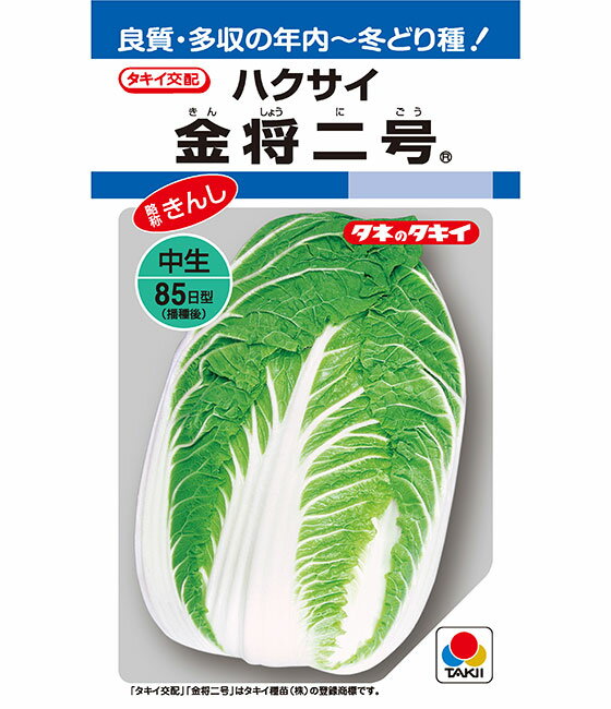 【 金将二号 】 白菜 種 白菜の種 種子 ハクサイ タキイ種苗