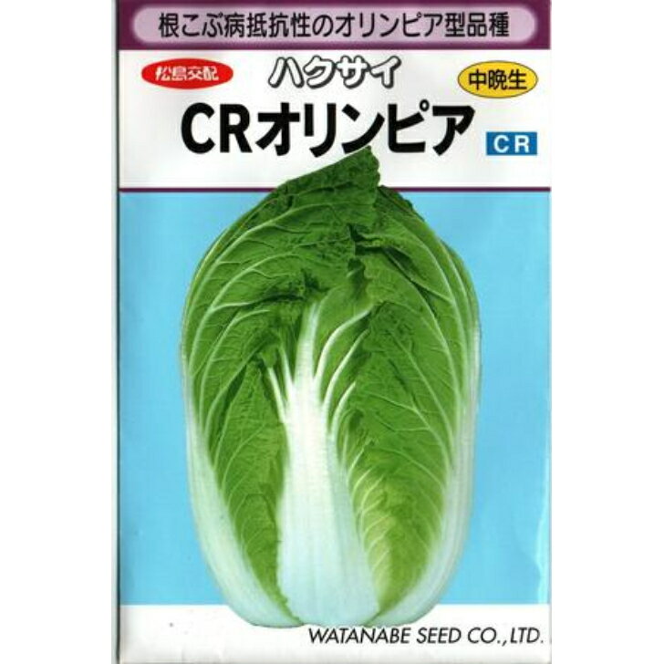 【 CRオリンピア 】 白菜 種 白菜の種 種子 ハクサイ 渡辺採種場 松島交配